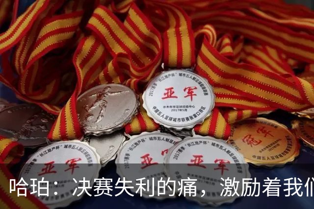 哈珀：决赛失利的痛，激励着我们团结一心